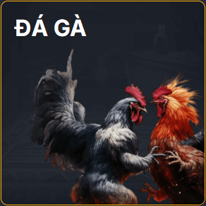 123b-da-ga