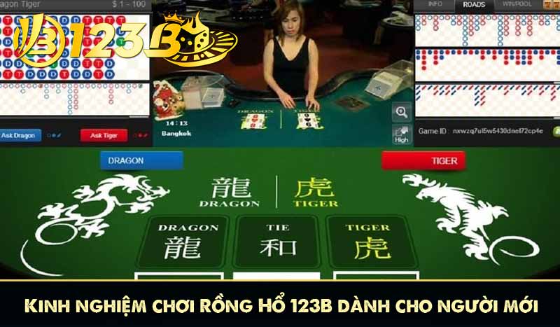 Kinh nghiệm chơi Rồng Hổ 123B dành cho người mới